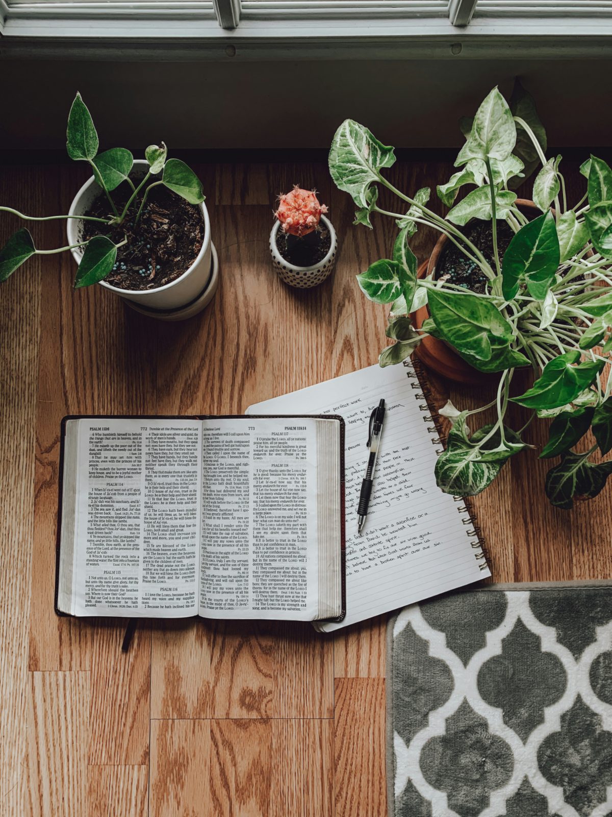 Abre la Biblia y el diario