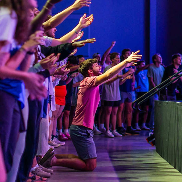 Formación universitaria